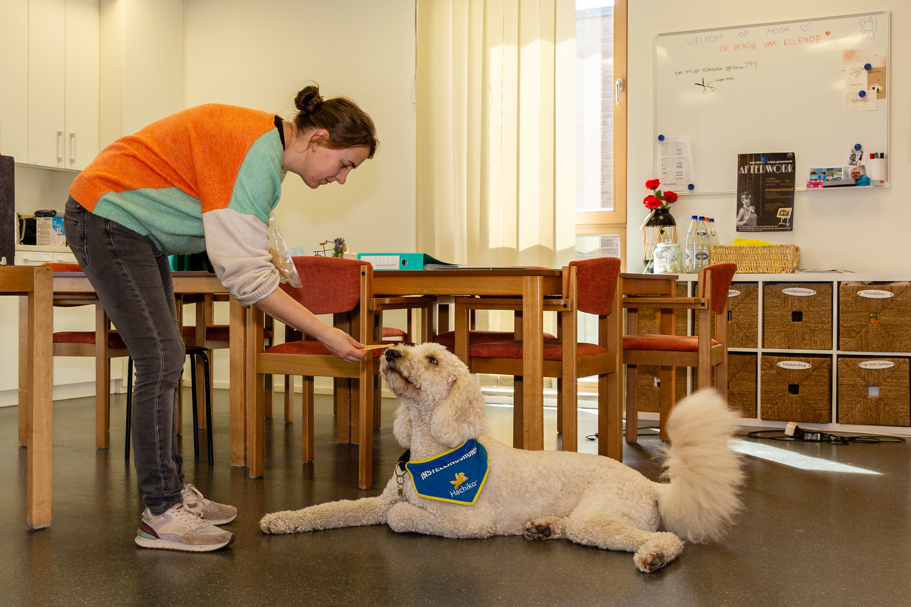 foto's Instellingshond Balou