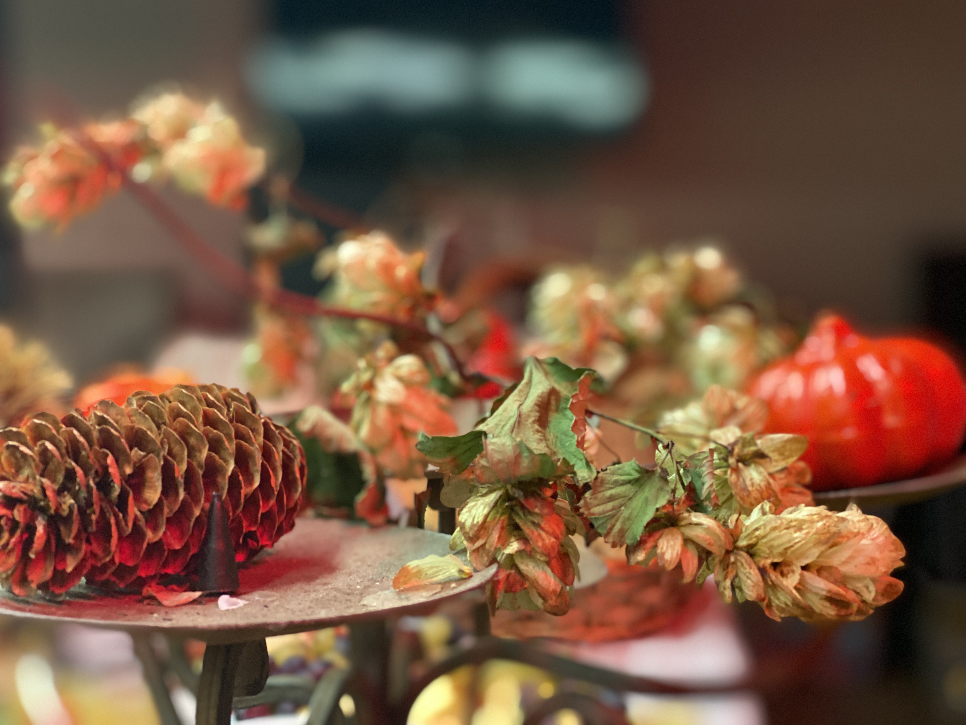 foto's Herfstfeesten november 2019